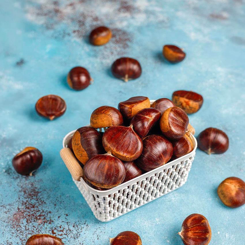 Cacao